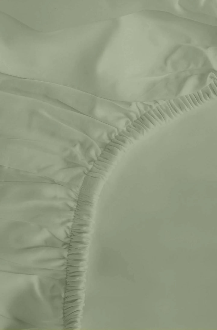 Classic Organic Percale Fitted Sheet
Success